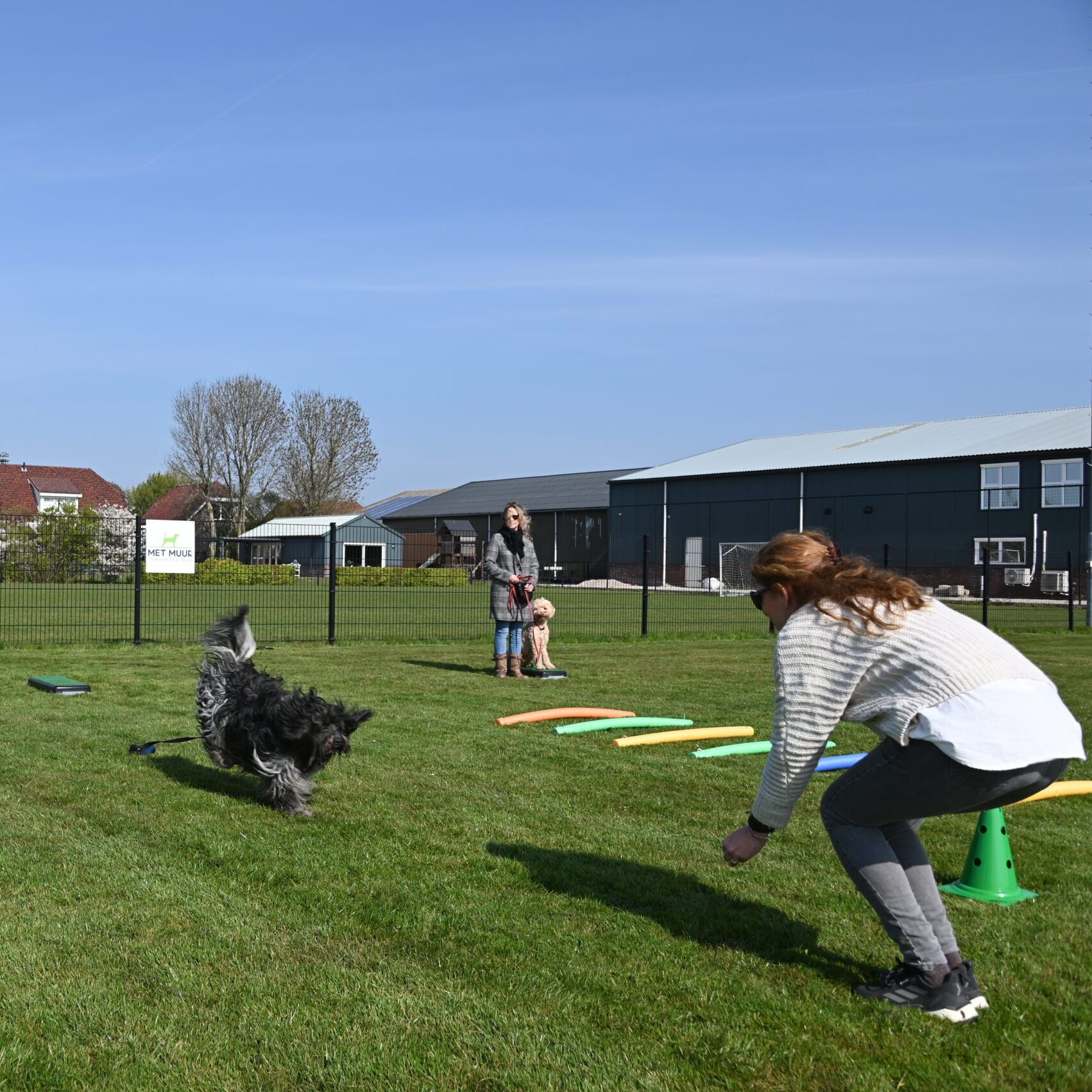 Met Muur Hondentraining Puppytraining Pubertraining Vijfhuizen
